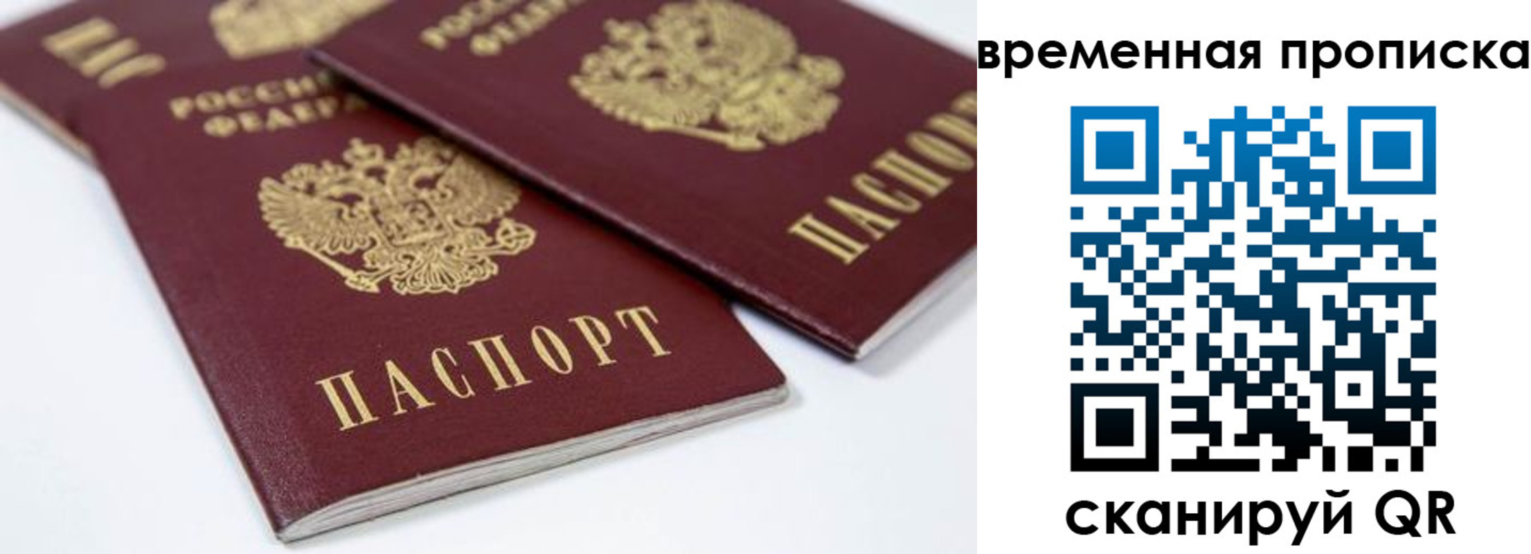 прописка регистрация в Димитровграде
